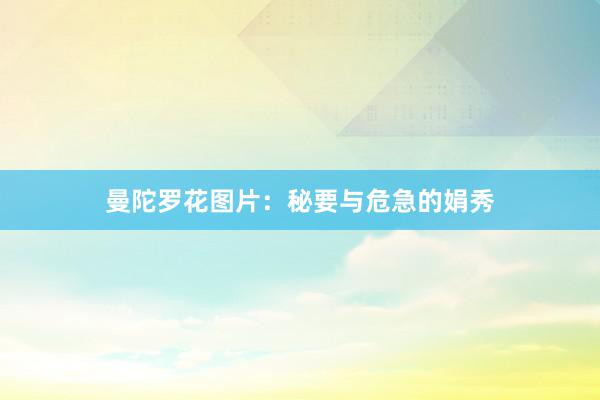 曼陀罗花图片：秘要与危急的娟秀