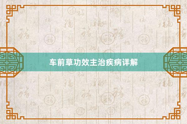 车前草功效主治疾病详解