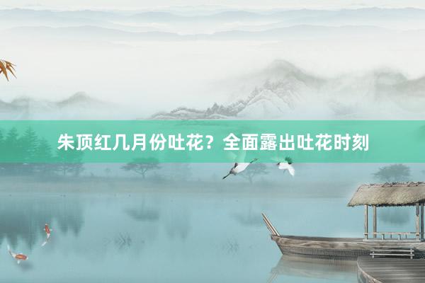 朱顶红几月份吐花？全面露出吐花时刻