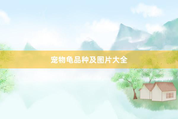 宠物龟品种及图片大全
