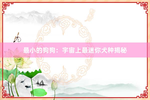 最小的狗狗：宇宙上最迷你犬种揭秘